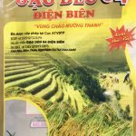 In Túi đựng gạo Điện Biên