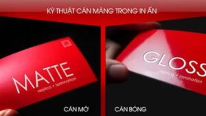 so sánh cán bóng và cán mờ