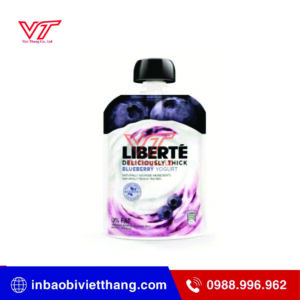 In Túi Có Vòi Giá Rẻ Có Thực Sự Tốt Không? Sự Thật Doanh Nghiệp Cần Biết